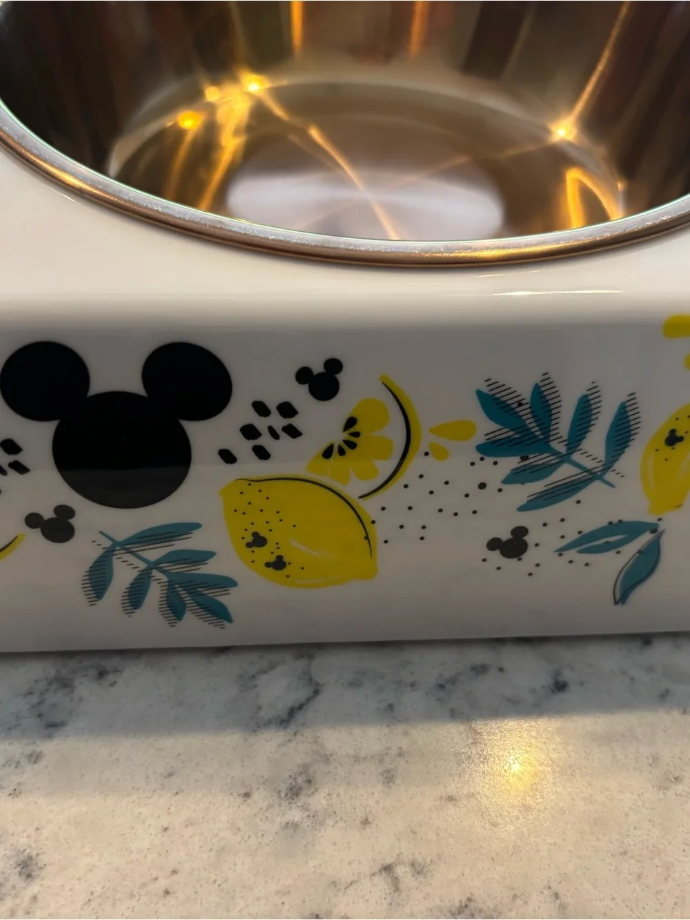Disney Chewy Mickey Mouse Lemon Double Dog Cat Feeding Good Bowl Melamine